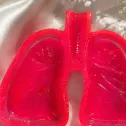 تصویر 4 زیرسیگاری طرح ریه